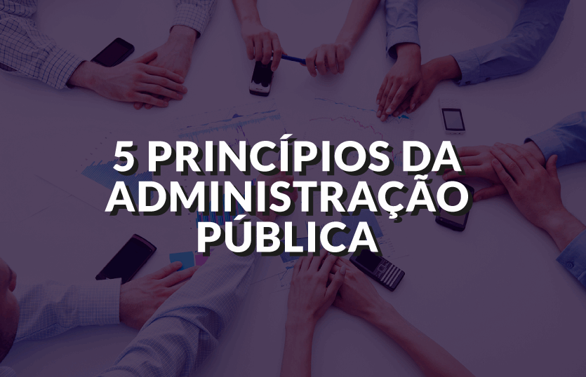 Os 5 princípios da Administração Pública